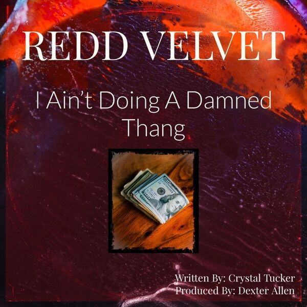 Cover art for I Ain't Doing a Damned Thang